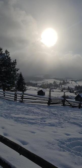 Pensiunea La Bella Vista Poiana Negrii Eksteriør bilde